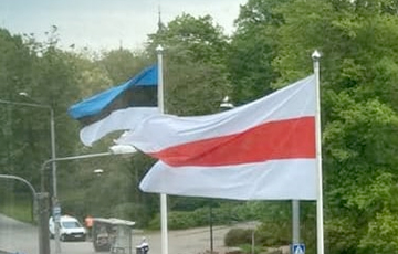Бело-красно-белый флаг подняли в Таллинне