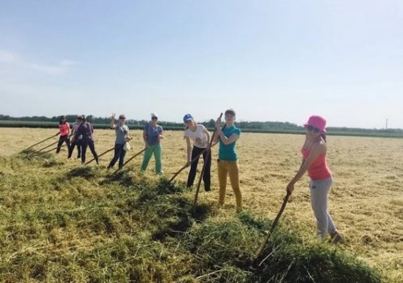 В Беларуси опять подняли больной вопрос социальной защиты молодых специалистов на селе