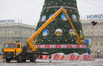 Сегодня в Минске начнут убирать городские елки