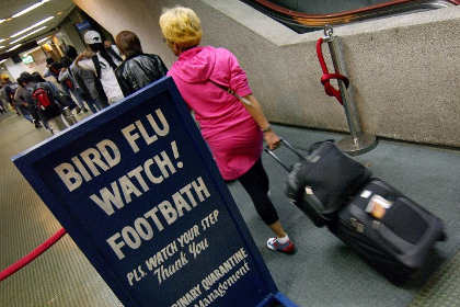 В Северной Америке зафиксирован первый случай смерти от птичьего гриппа
