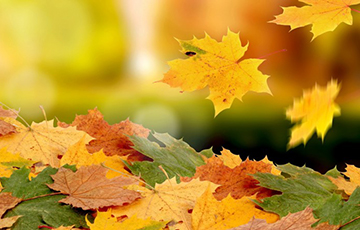 Наступил октябрь, когда падают листья и растут цены