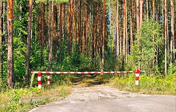 В 13 районах Беларуси продолжает действовать запрет на посещение лесов