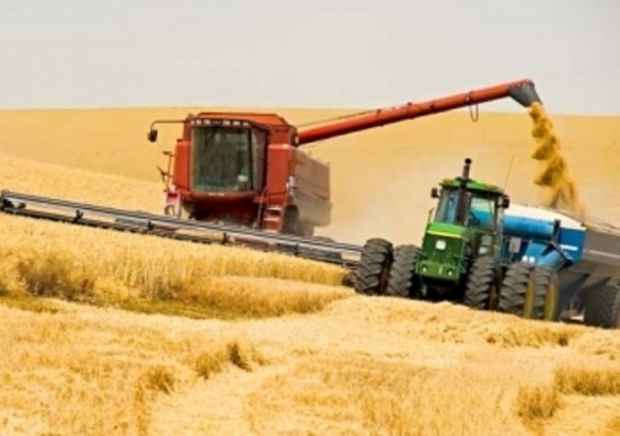 Лукашенко намерен использовать новые механизмы финоздоровления проблемных сельхозпредприятий