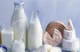 ЕС объявил об экстренной поддержке молочного рынка из-за российского эмбарго