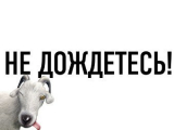LiveJournal удалось отбить атаку хакеров
