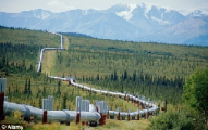 Беларусь за I квартал увеличила импорт российской нефти в 1,4 раза до 5,4 млн.т