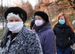 ВОЗ: Человечеству угрожает пандемия птичьего гриппа