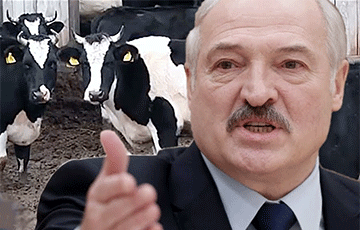 Предприниматель: Лукашенко сам признал, что развалил сельское хозяйство