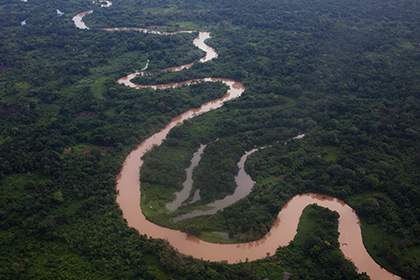 Следы неизвестной цивилизации обнаружили в джунглях Гондураса