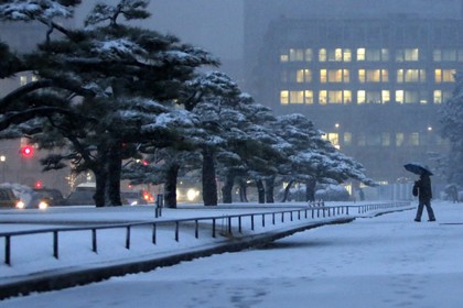 Из-за снегопадов в Японии погибли десять человек