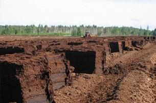 Правительство Беларуси попало в «торфяной капкан»