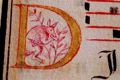 В португальском манускрипте нашли анахроничного кенгуру