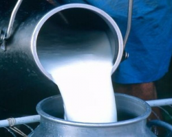 В странах Таможсоюза – дефицит сырого молока