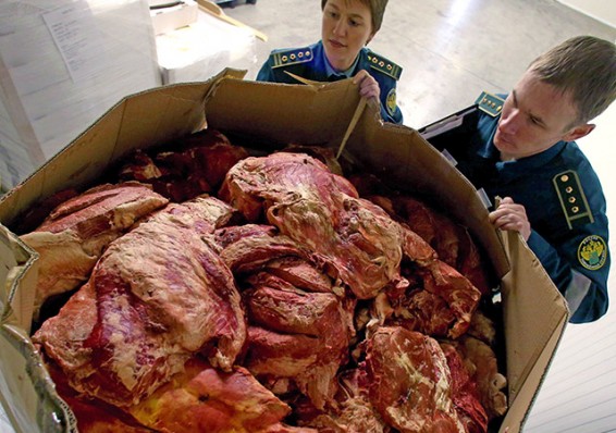 Россельхознадзор отмечает увеличение нелегального провоза говядины с территории Беларуси