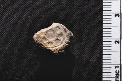 Археологи доказали историчность государства царя Давида