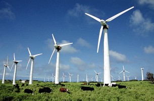 Энергия из возобновляемых источников будет отпускаться по новым тарифам