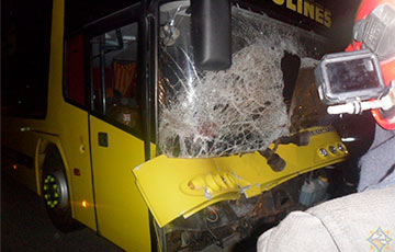 Видеофакт: На трассе М5 лошадь влетела в салон автобуса через лобовое стекло