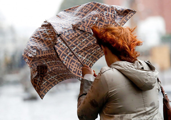 На субботу в Беларуси объявлено штормовое предупреждение из-за сильного ветра