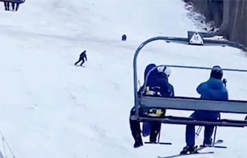 Видеохит: Погоня медведя за лыжником в Румынии набирает популярность в Сети