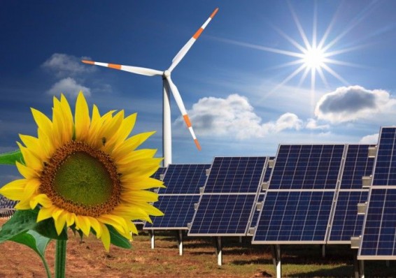 «Белэнерго» не будет выкупать энергию от возобновляемых источников по повышенным тарифам
