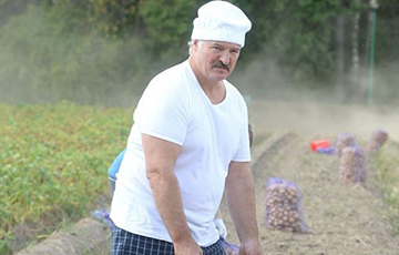 Лукашенко: Россияне нас кормят больше, чем мы их