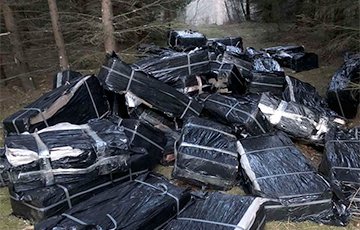 Литовские пограничники нашли 50 тысяч пачек белорусских сигарет в лесу