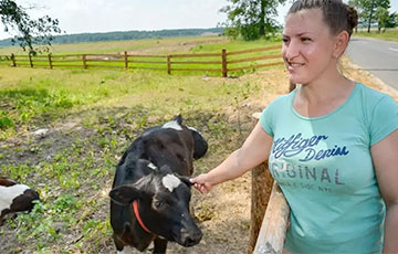 Как семья переехали из города в глухую деревню и завела 19 коров и телят