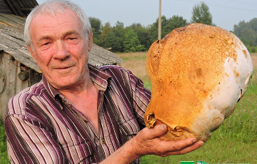 В Докшицком районе нашли гриб-великан
