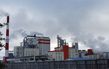 Видеофакт: Светлогорский завод сбрасывает отходы в Березину
