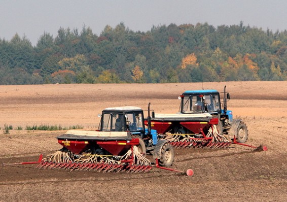 В Беларуси сев зерновых идет опережающими темпами. Посеяно 60 процентов зерновых