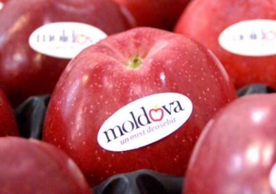 Россия запретила транзит молдавских фруктов и овощей через Беларусь