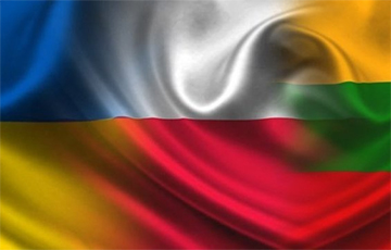 Межпарламентская ассамблея Украина-Польша-Литва создала новый комитет