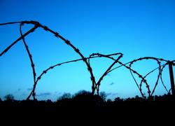 «Голос Америки»: В ООН знают о пытках в тюрьмах Беларуси