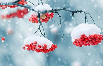 В пятницу в Беларуси объявлен оранжевый уровень опасности из-за снега, метелей и сильного ветра