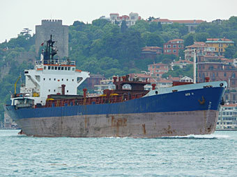 В стамбульском порту получил пробоину контейнеровоз