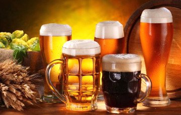 Импорт пива в Беларусь снизился на 20%