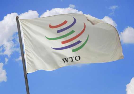 В понедельник белорусская делегация отправится в Женеву на переговоры по ВТО