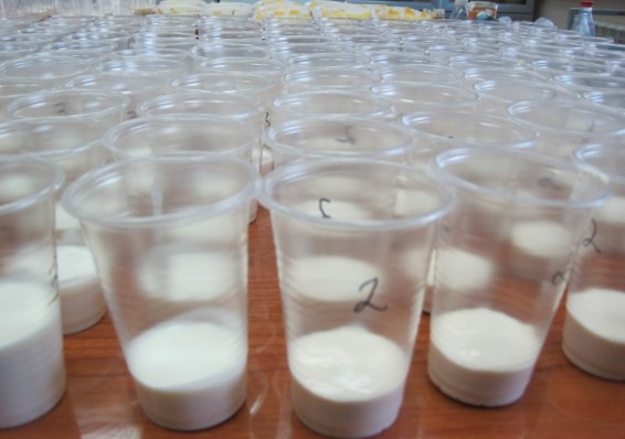 Россельхознадзор запретил поставки белорусской молочки с трех предприятий