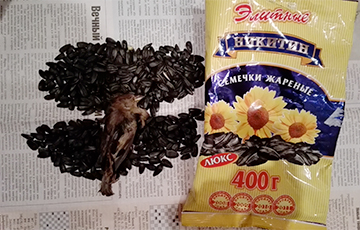 Белоруска нашла в упаковке семечек воробья