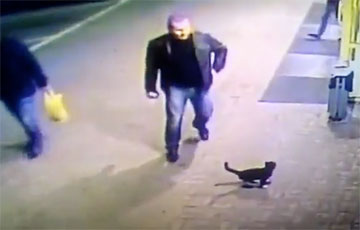 Видеофакт: В Полоцке милиционер пнул на улице котенка