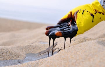 Svenska Dagbladet: Смертный приговор нефти не за горами