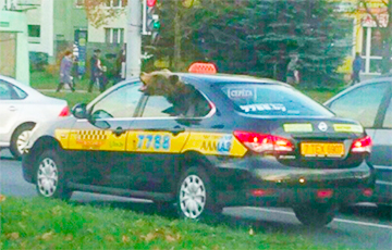 Фотофакт: По Минску ездит такси с медведем