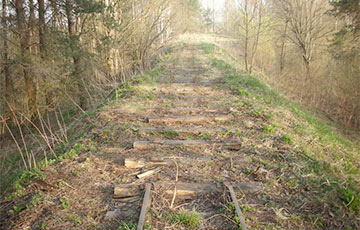 В Быховском районе украли участок железной дороги