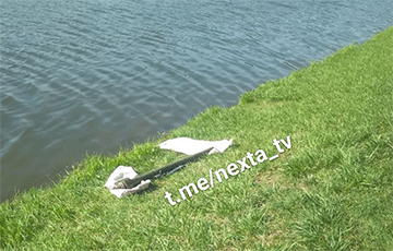 В Щучине в местном озере рыбак нашел предмет, похожий на ПЗРК «Игла»