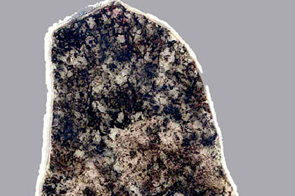 Палеобиологи нашли древние бактерии возрастом 2,3 миллиарда лет