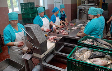 Сотрудница рыбхоза под Солигорском добилась оплаты почти 800 часов работы