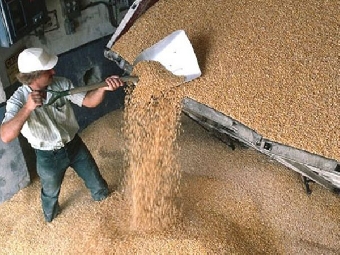 Беларусь будет продавать России зерно по высоким ценам