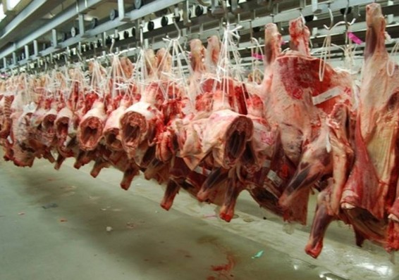 Беларусь уменьшает экспортные цены на говядину