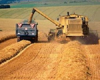 Шесть районов Гродненской области завершили уборку зерновых