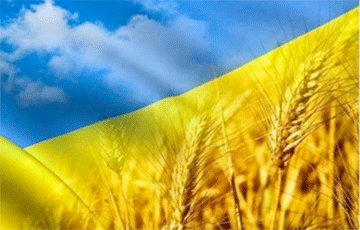 Украина бьет рекорды по экспорту пшеницы